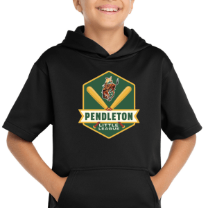 Youth Short Sleeve Hoodie