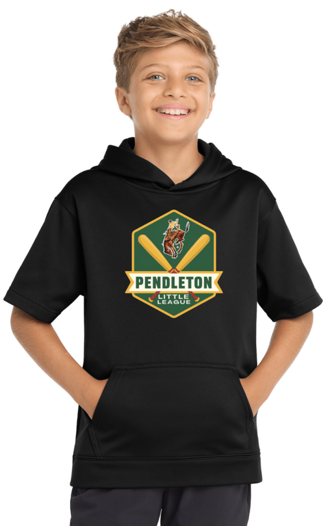 Youth Short Sleeve Hoodie